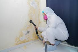 Professional Mold Removal in Coldstream, OH